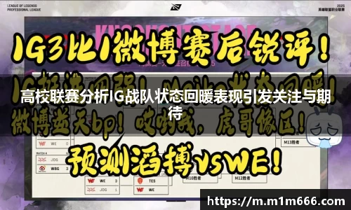 3377体育官网入口网页版