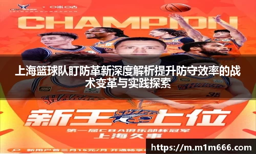 3377体育官网入口网页版
