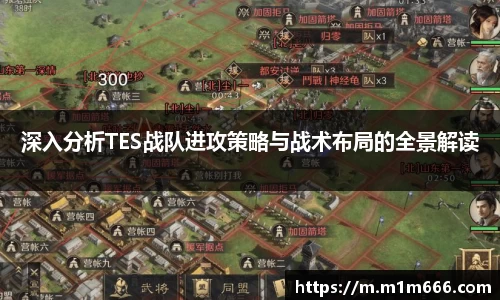 3377体育官网入口网页版