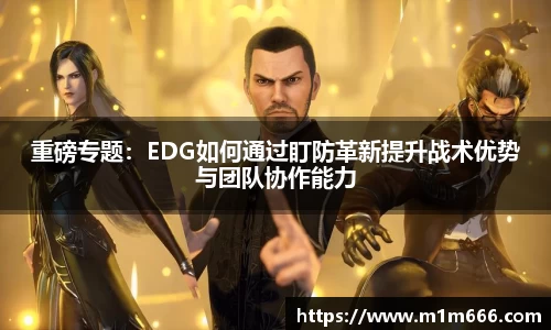 3377体育官网入口网页版