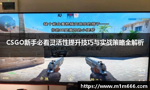 3377体育官网