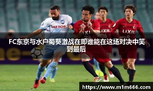 3377体育官网入口网页版