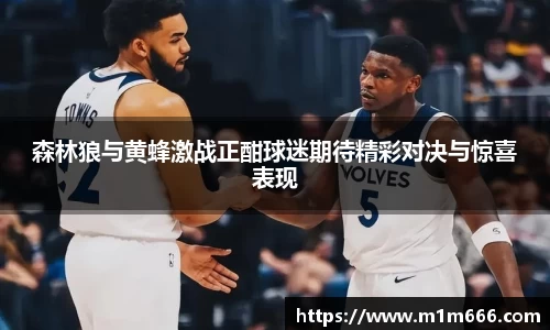 3377体育官网