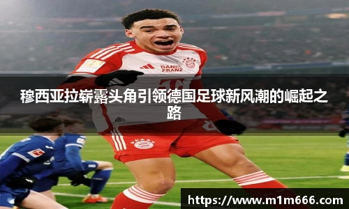 3377体育官网入口网页版