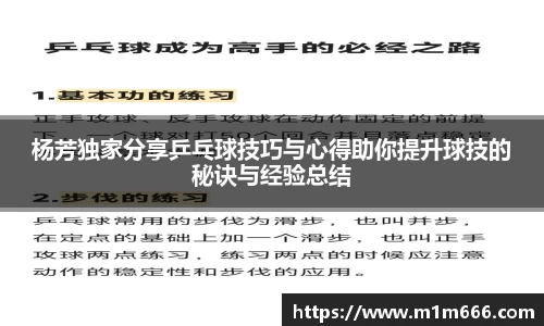 杨芳独家分享乒乓球技巧与心得助你提升球技的秘诀与经验总结