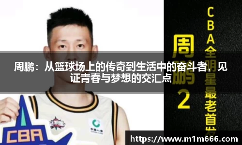 3377体育官网入口网页版