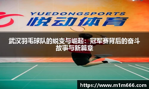 武汉羽毛球队的蜕变与崛起：冠军赛背后的奋斗故事与新篇章